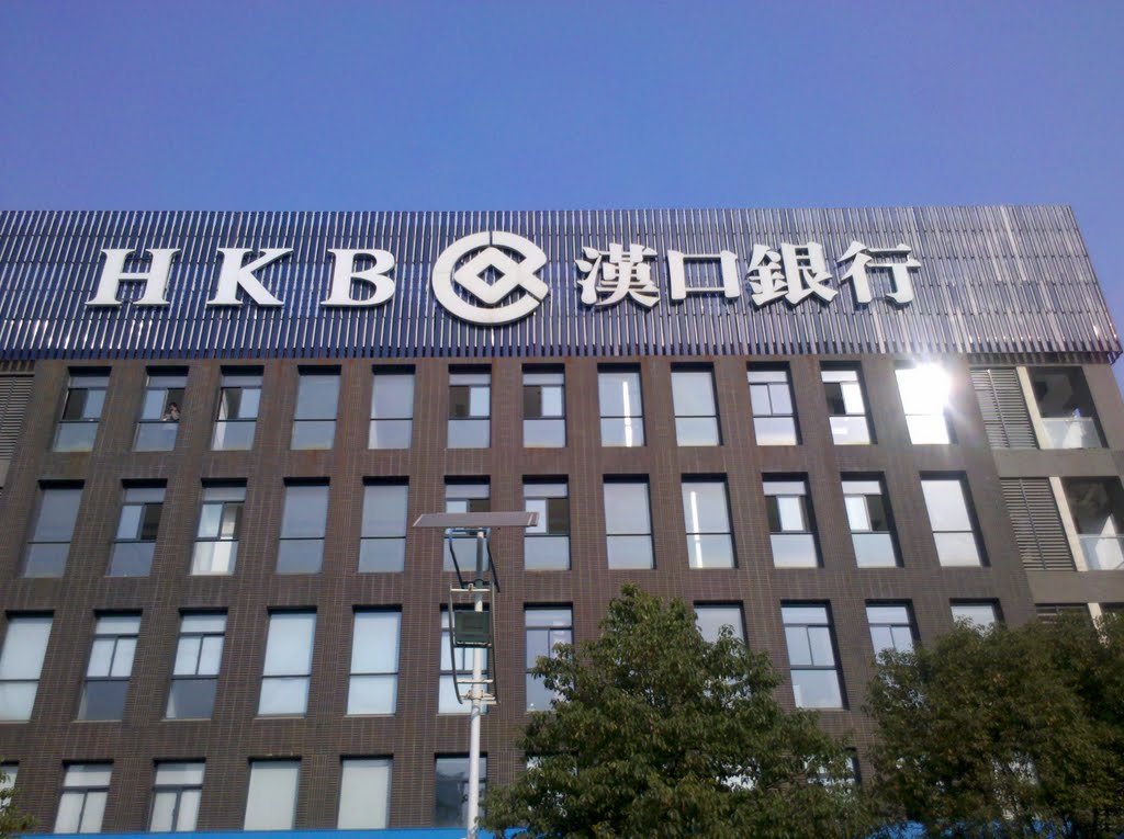 汉口银行准入担保公司卷钱跑路