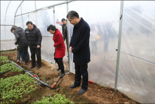 图片4.png 图片4.png