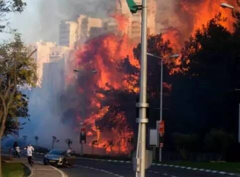 1480299401407088345.jpg 386956621046207615.jpg