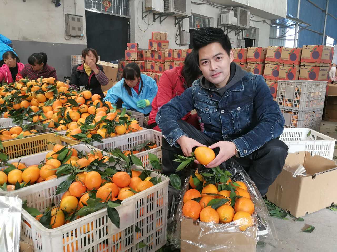 宜昌网红林志颖 创业卖脐橙 销售收入过百万