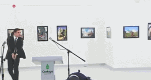 大使4.gif