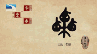 五果就是桃,李,杏,栗,枣.中医认为五果有帮助我们养身健身的功效.
