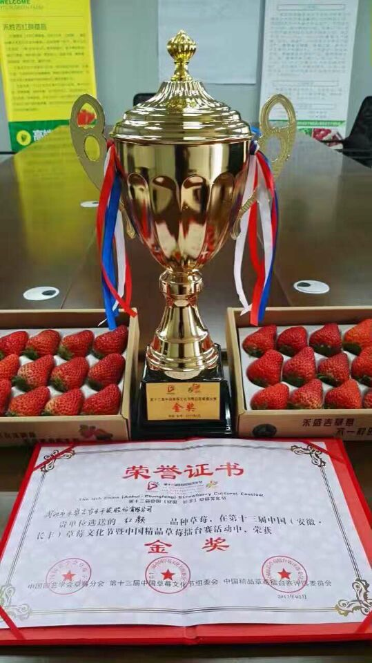 草莓草莓节上千种精品重点打擂武汉黄陂区成全国龙湖镇有哪个高中图片