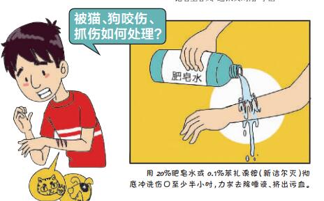 注意狂犬病发病高峰将至武汉每年18万人打狂犬疫苗