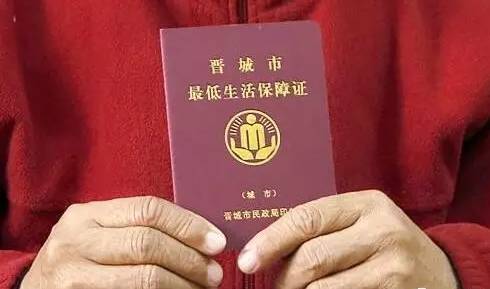 华西村人均收入_广西低保人均月收入(3)