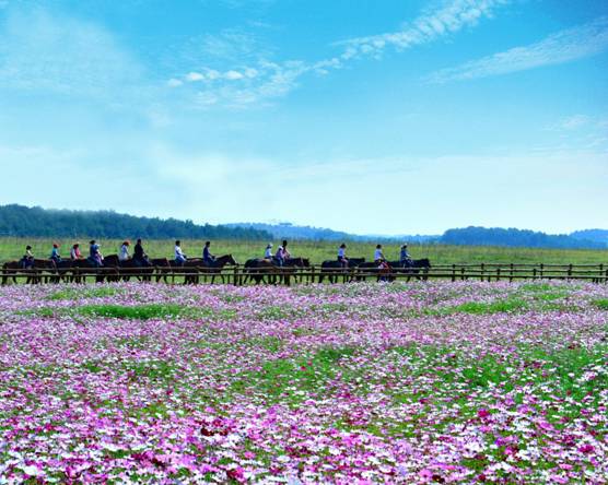 微信图片_20170413150745