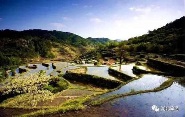 地址:湖北省黄冈市罗田白庙河镇潘家湾村 宣恩铁厂坡村梯田