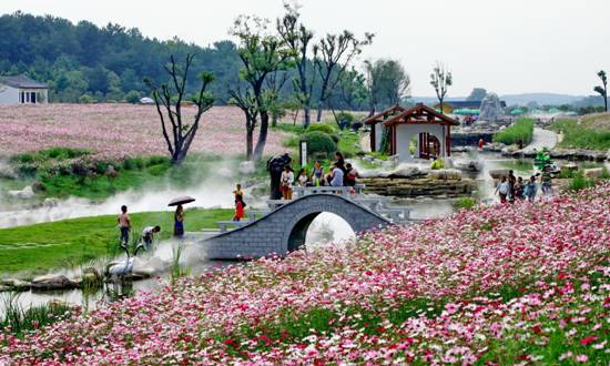 微信图片_20170413150741