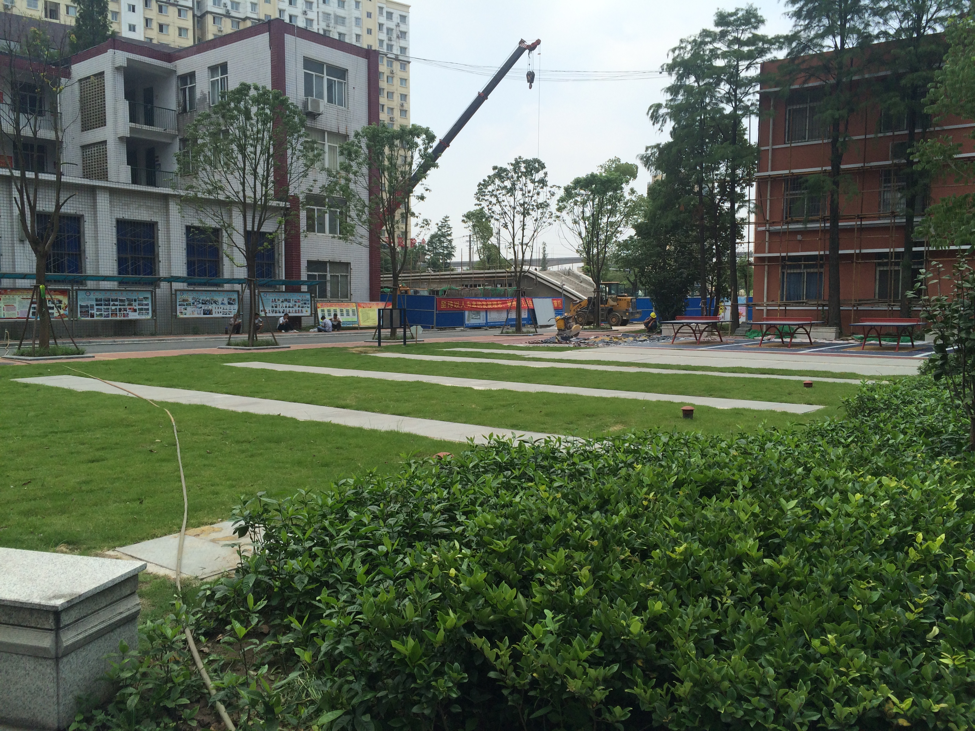 以绿为纲重塑城市“里子” 武汉海绵城市建设驶入快车道_长江云