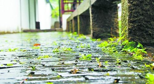 湖北省9号进入梅雨期将迎暴雨 注意防范暴雨洪涝等灾害