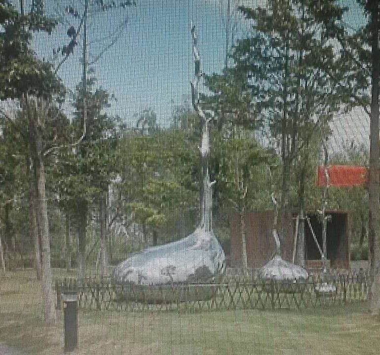 武汉 | 利用公园雕塑洗脑讲课 警方打击新型传销