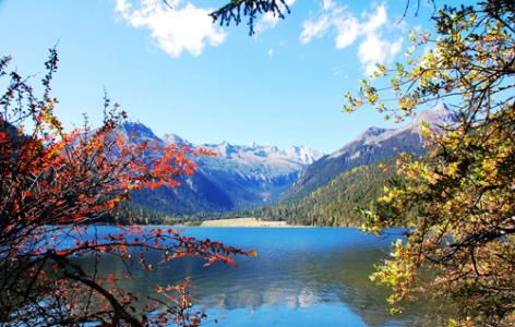 V视 | 打响碧水保卫战 落实1号河湖长令 湖北各地在行动