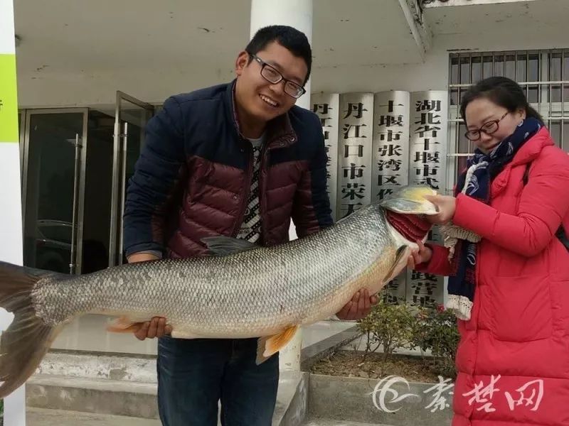 长江云 湖北网络广播电视台官方网站