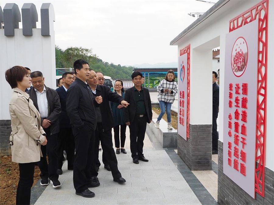 调研组实地察看了点军区五龙社区红十字基层组织建设和城市博爱家园