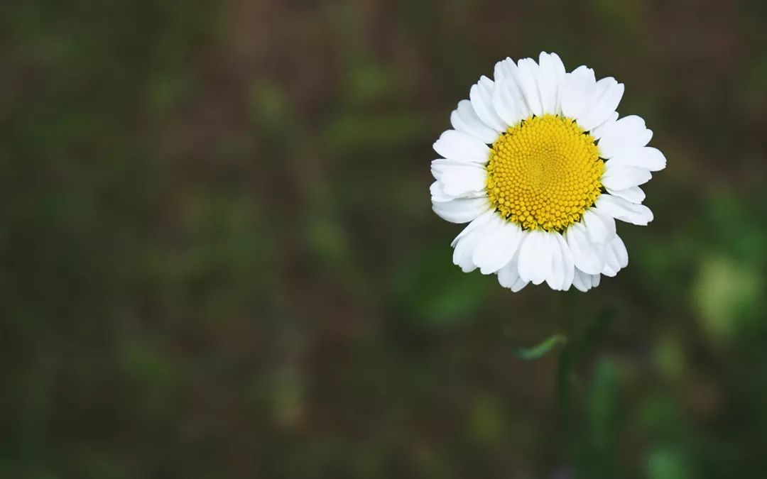 完整无缺：《权力游戏》第六季下载链接大放送 (完整无缺的意思)