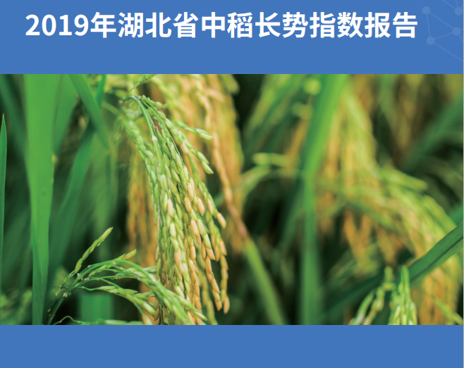 重磅发布2019年湖北省中稻长势指数报告出炉