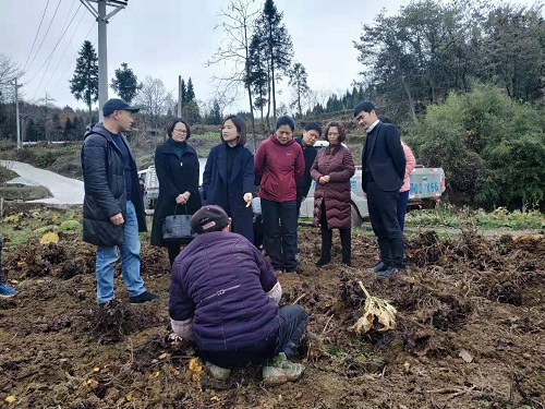 浙江省残联副理事长雷绍丽一行到湖北调研残疾人东西部扶贫协作工作