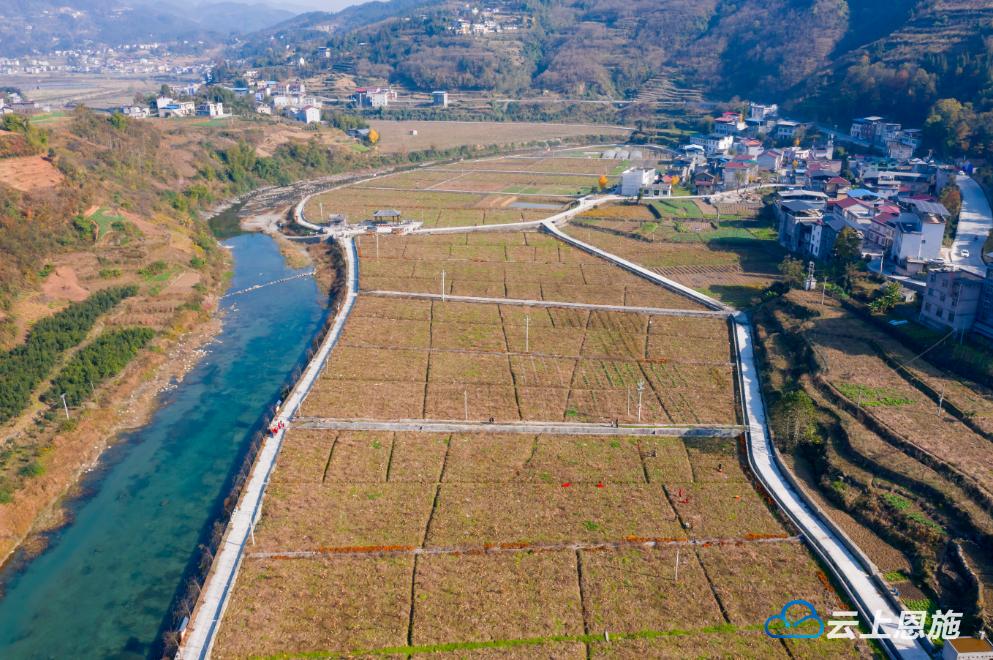 恩施丨建始土里刨金刨出一个致富金产业