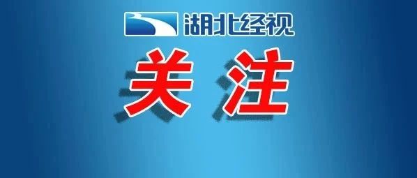 清明小长假第一天,湖北省内高速公路迎来车流高峰(最新发布)