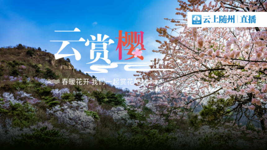直播回放 | 良辰“梅”景  “樱”约大洪山