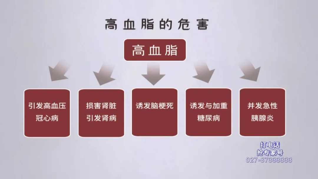 高血脂的危害我国现有1.6亿高血脂患者,但很多人并未重视.