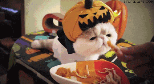 误会了原来娃就该吃零食