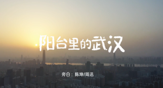 《阳台里的武汉》