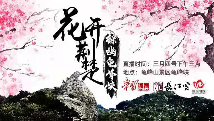 直播回放 | 探幽龟峰峡，赏樱踏春正当时