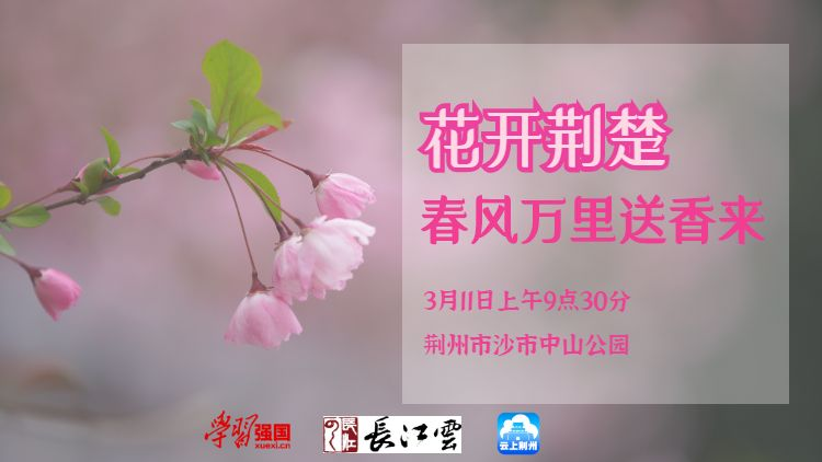 直播回放 | 荆州沙市中山公园邀您“云”赏春光