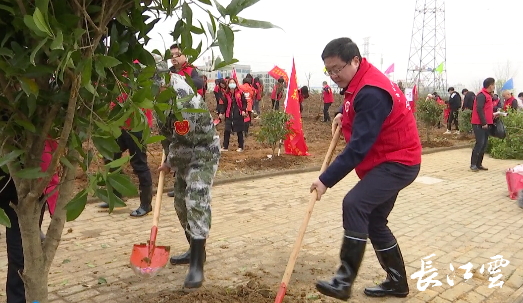 大冶人勤春来早02植树正当时