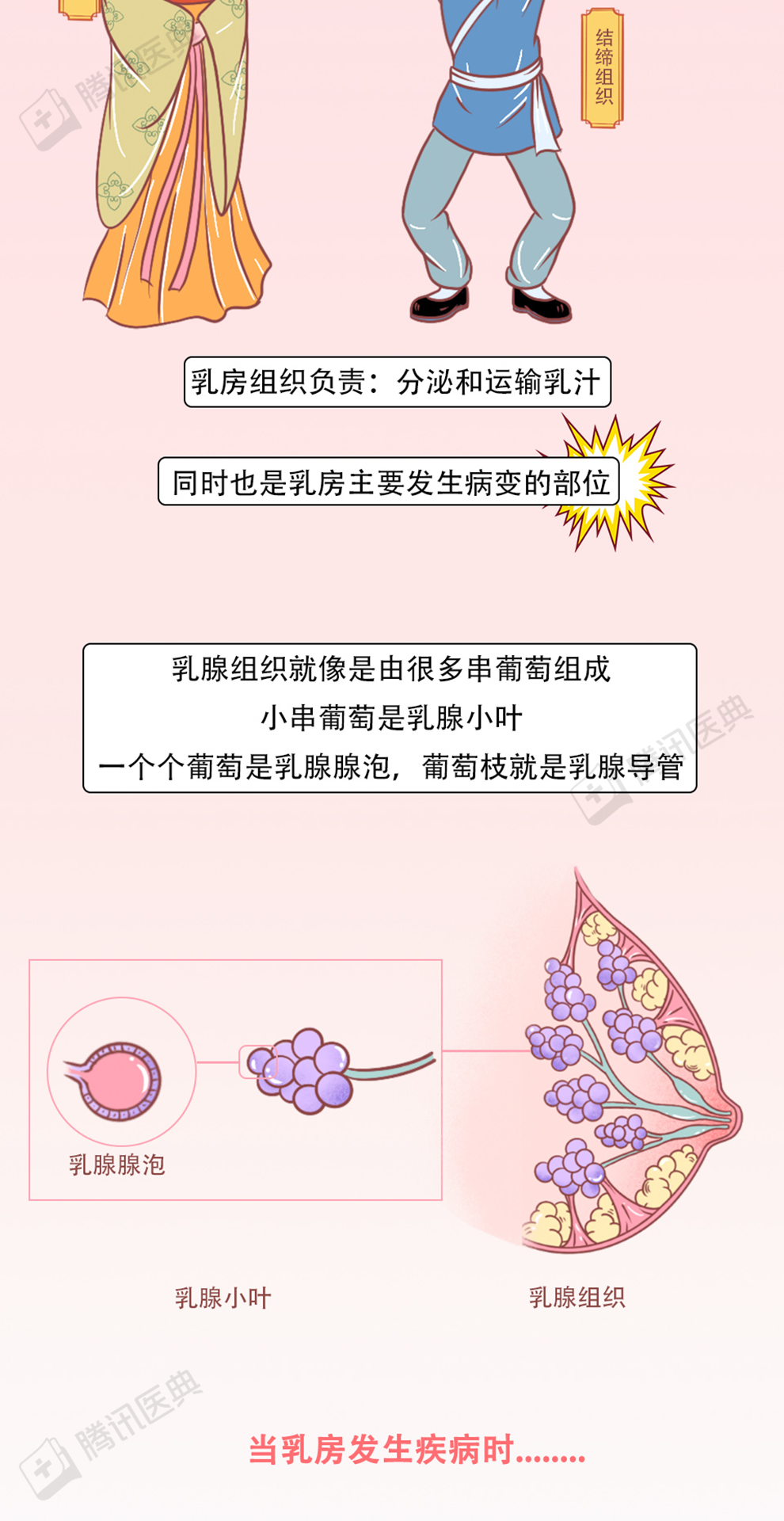 乳房保养事项1.佩戴大小合适,质地柔软的胸罩,避免对乳腺产生压迫.2.