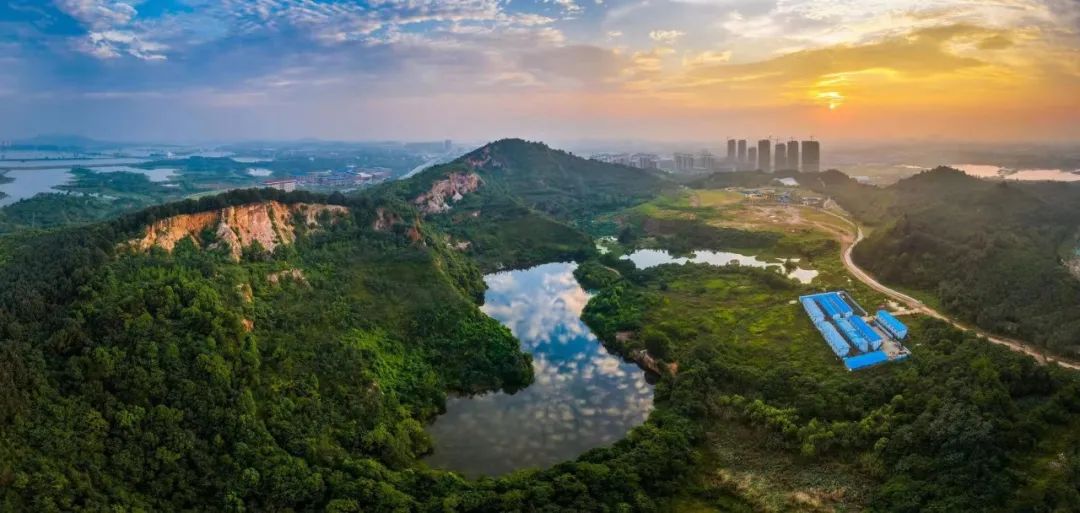 共同构成了武汉市最大的城市"绿肺"湖泊星罗棋布硃山湖,牛尾湖,中山湖