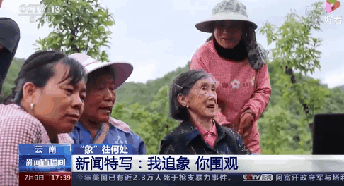 检测员象群造成的损失国家赔大妈哈哈哈哈