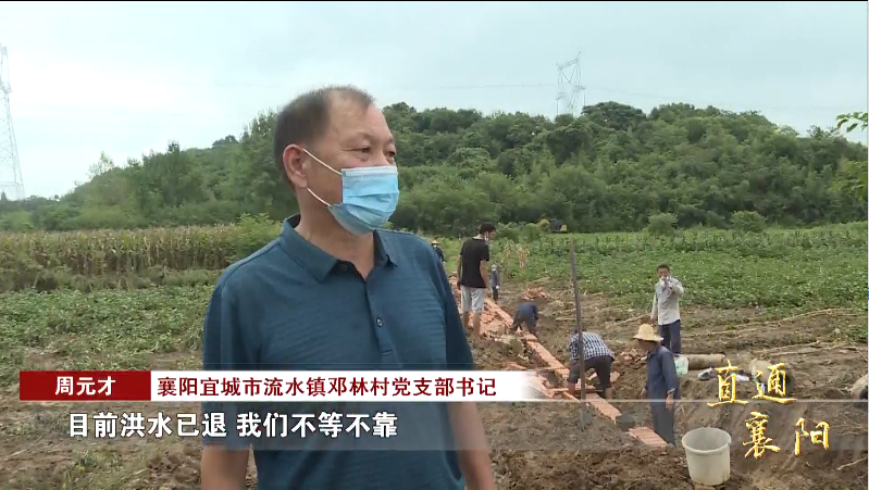 在宜城市流水镇邓林村,当地村民正忙着修筑挡墙,填筑沟渠,抢修损毁