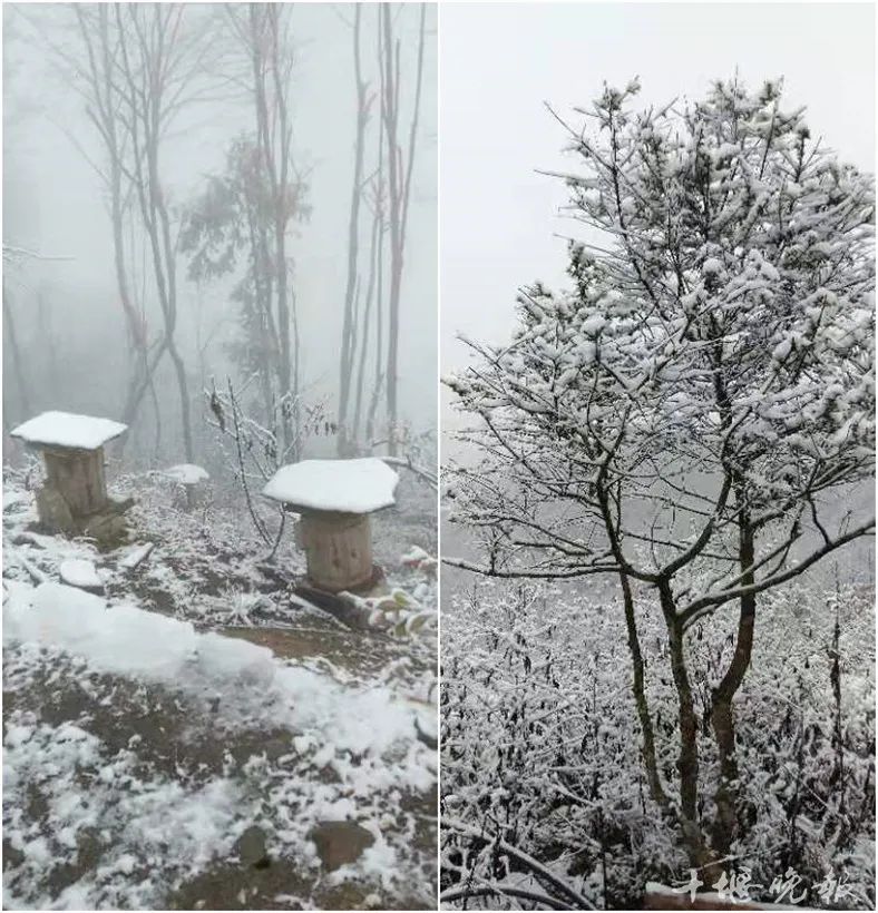 小雪来临湖北这些地方下雪了