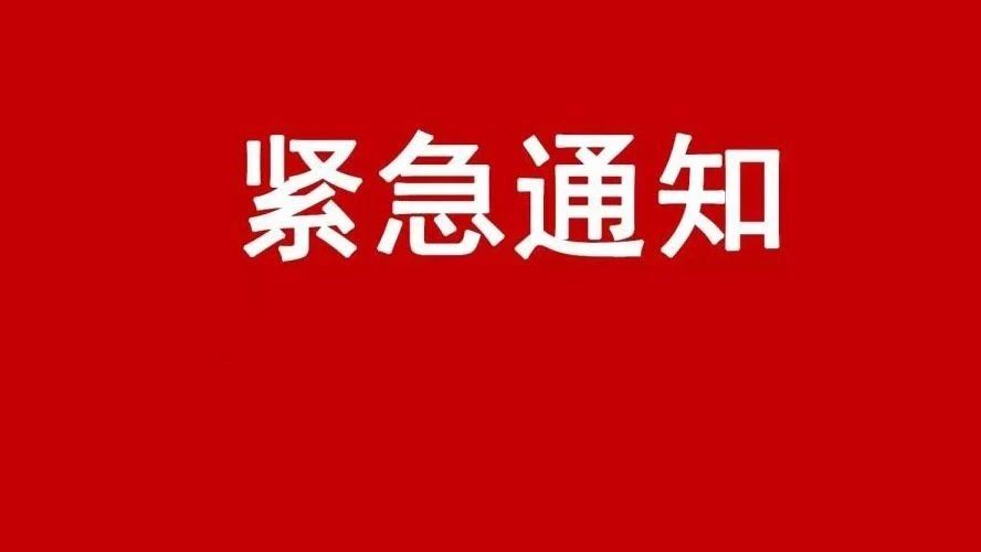 警惕杀猪盘!广州南京等多地单身女性被骗,单笔金额高达百万 5分钟前