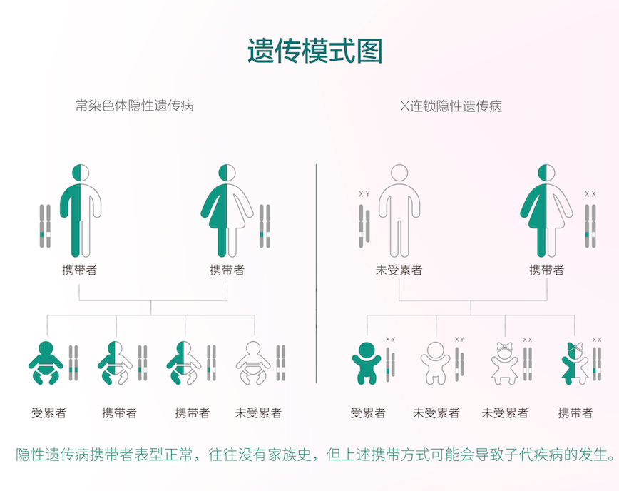 单基因遗传病携带者筛查您了解多少