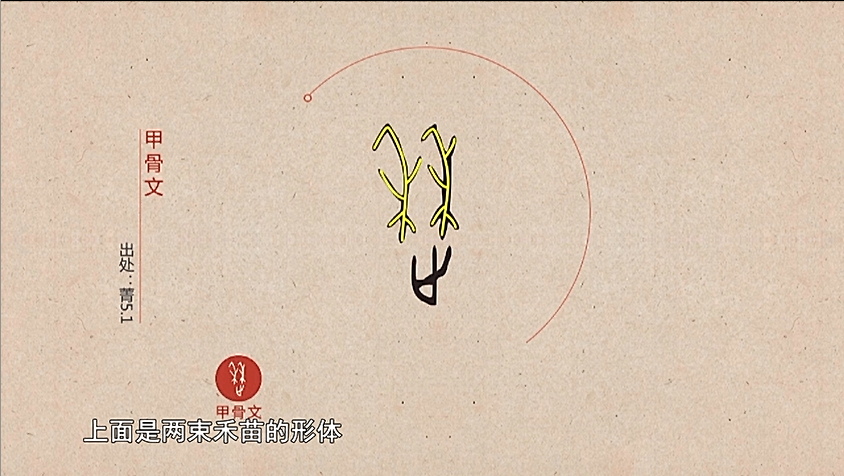 甲骨文中的历,上面是两束禾苗的形体,禾苗栽种在田土里是有秩序的