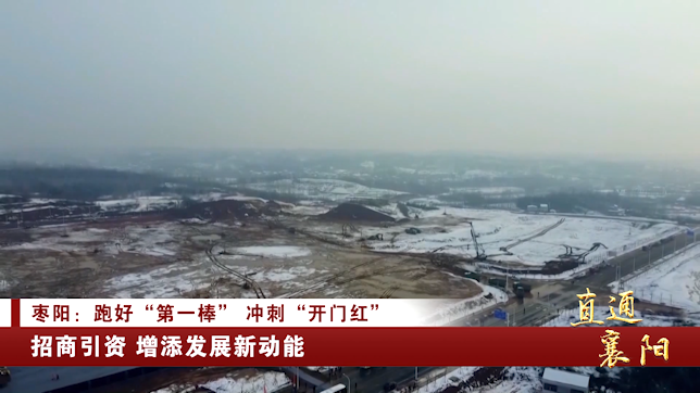 直通襄阳丨枣阳：跑好“头部棒”冲刺“开门红”