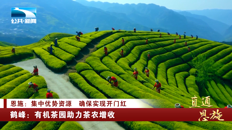 恩施州鹤峰县有悠久的产茶历史,一代代茶农,茶商用勤劳与智慧,踏出了