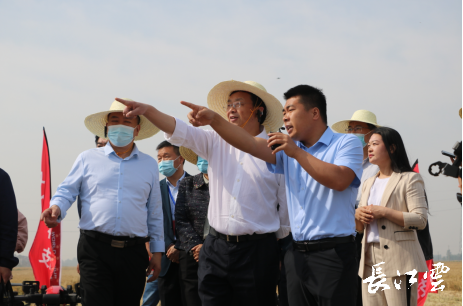 厅长,省乡村振兴局党组书记吴祖云在钟祥市石牌镇彭墩村查看"三夏"