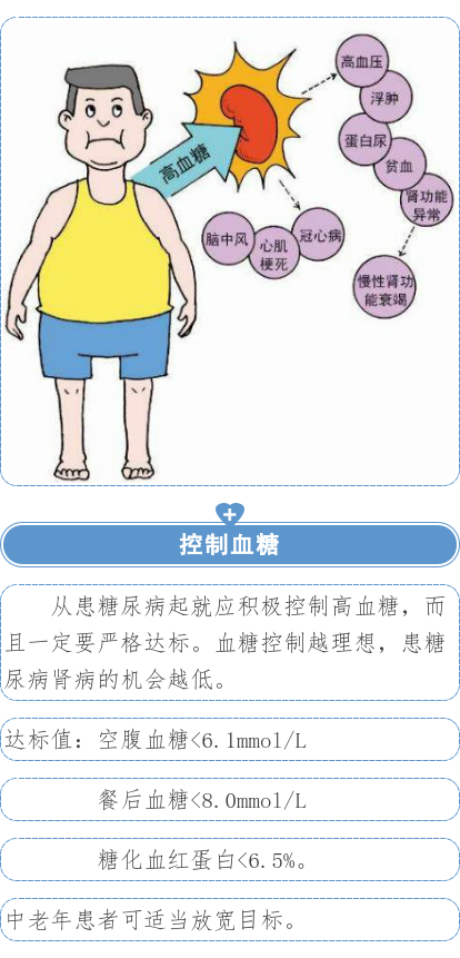 别让糖尿病伤了您的肾