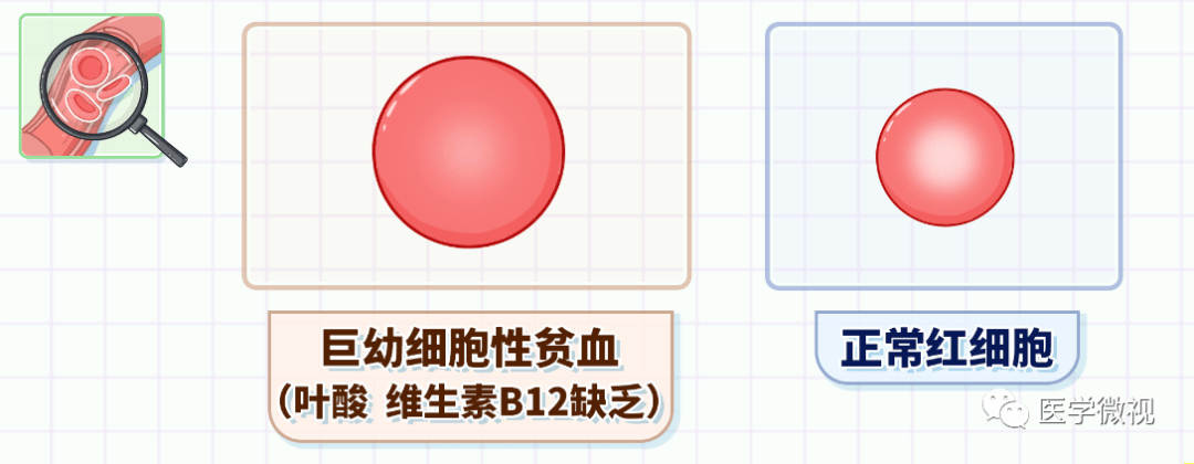 医院中最常见的报告单原来可以看出这么多信息