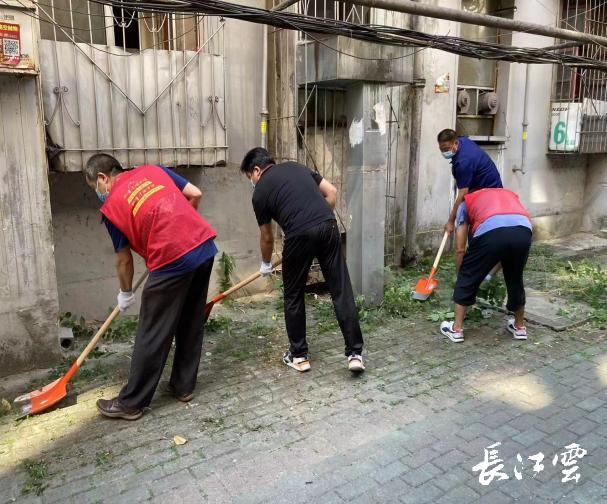 绿色行动：武汉环保服务公司的角色与动态