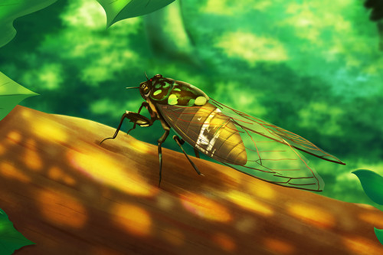 “金蝉脱壳”的壳，大有用处_长江云 湖北网络广播电视台官方网站