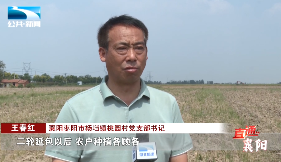 直通襄阳枣阳：齐心共筑幸福村