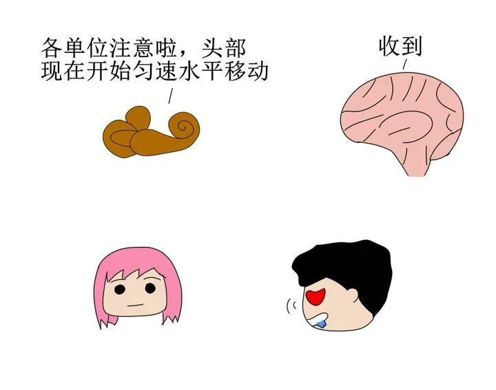经常头晕目眩原因可能出在耳朵上