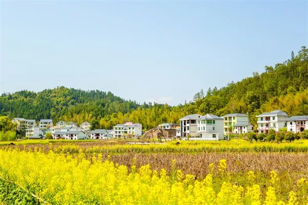 乡村四时好风光稻花香里说丰年全国乡村旅游精品线路之江西篇