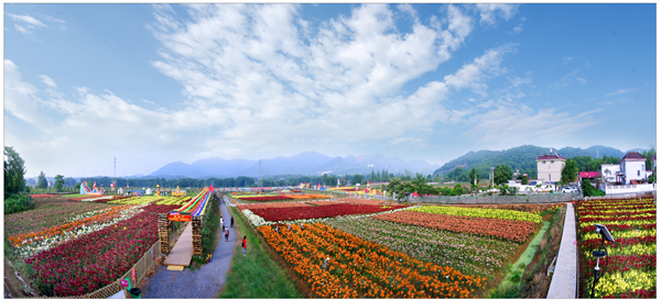 乡村四时好风光稻花香里说丰年全国乡村旅游精品线路之安徽篇