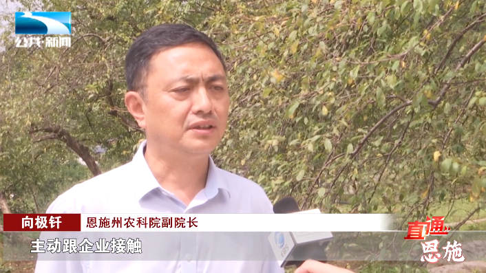 恩施硒：守护生命之土的天然宝藏